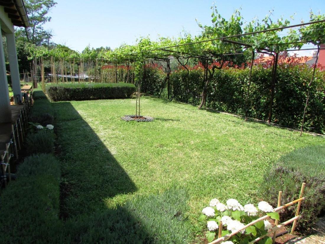 Paliska Apartmán Umag